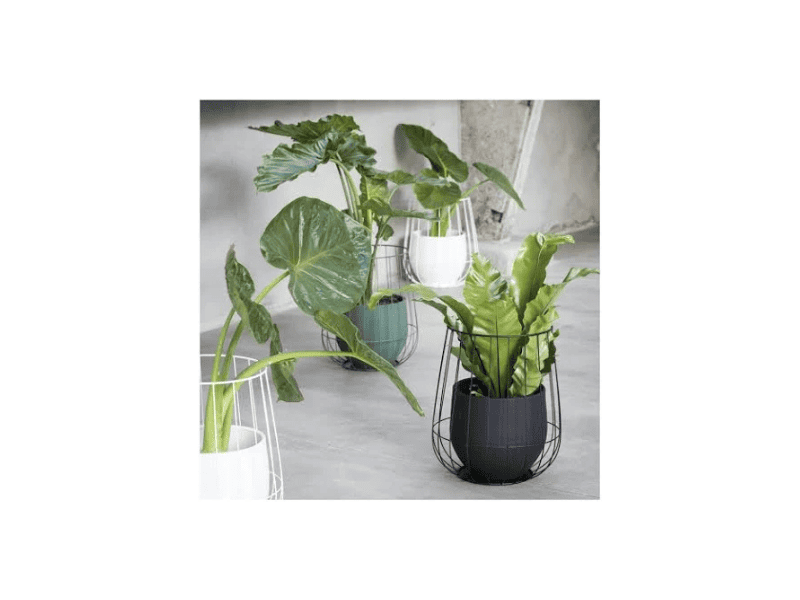 Cache pot "Cage"