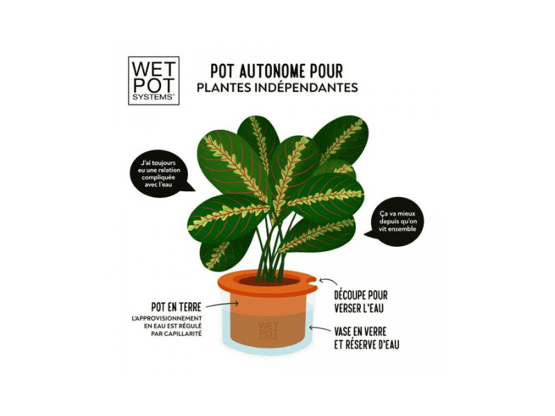 Wet Pot Small – DEKO de l'eau