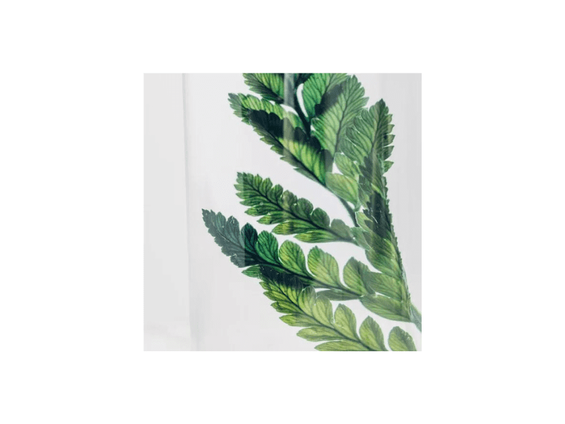 L'Herbarium de Théophile – Fougère Cuir verte – plante immergée