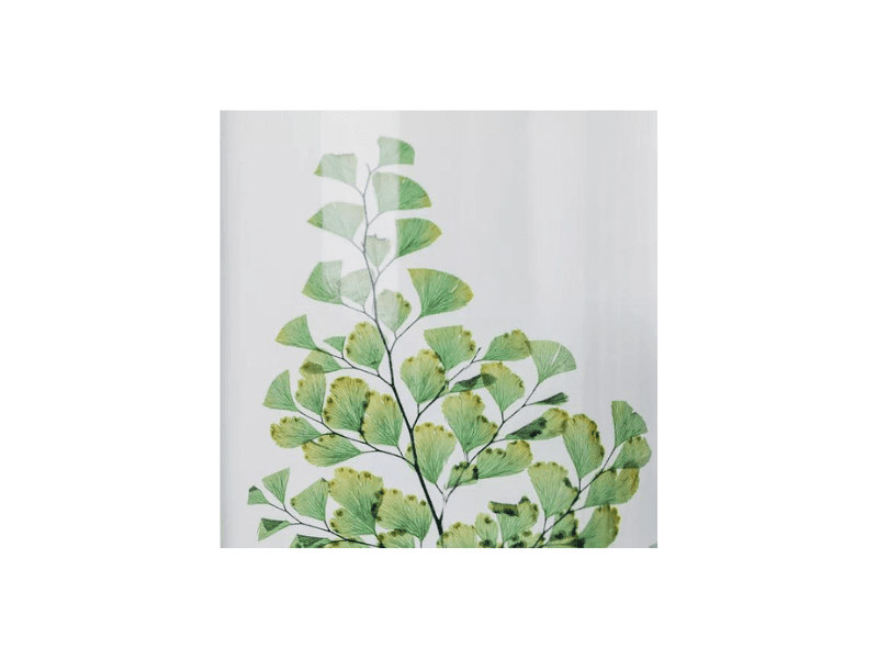 Plante immergée Eucalyptus HERBARIUM DE THEOPHILE