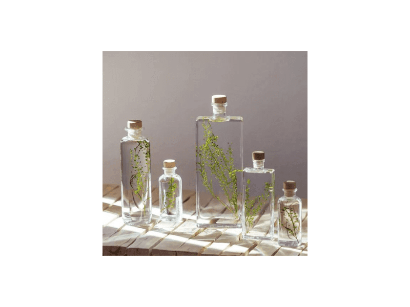 Herbariums - 3 tubes de fleurs immergées sur socle en bois