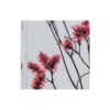 L'Herbarium de Théophile - Limonium rose - plante immergée