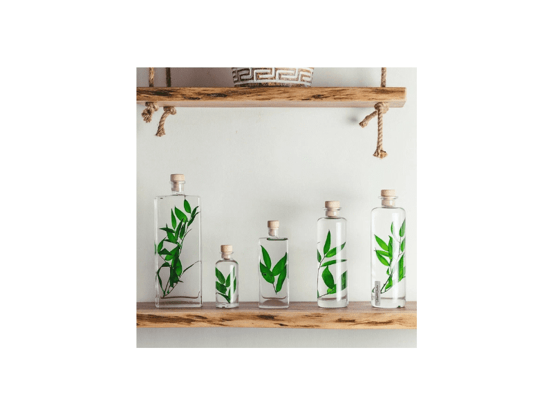 Herbarium Lepidium vert – Plante immergée