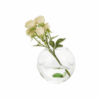 Vase "Atlantis Turtle"
