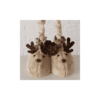 Cerf "Kaley"