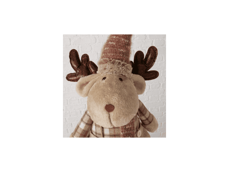 Cerf "Kaley"