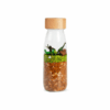 Spy Bottle "Jurassic"