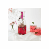 Watertwist "Rose, Thé des montagnes & Hibiscus"